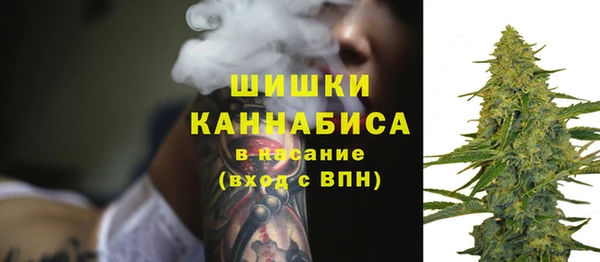 шишки Алексеевка
