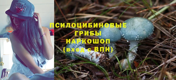 шишки Алексеевка