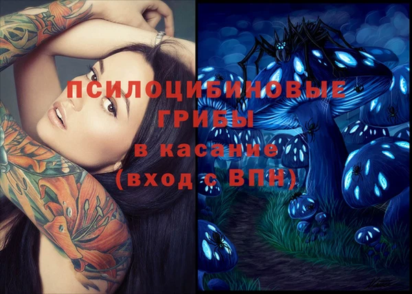 шишки Алексеевка