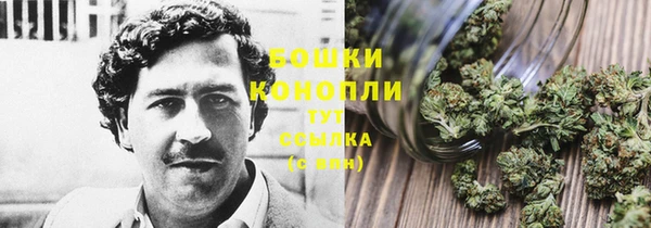 шишки Алексеевка