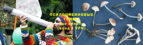 мяу мяу мука Алексин