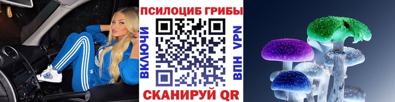 Галлюциногенные грибы прущие грибы  Удомля 